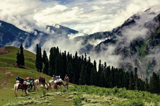 Beautiful view of Naran Valley Picture at Khyber Pakhtunkhwa Naran is a medium sized town in upper Kaghan Valley of Mansehra District situated in Khyber Pakhtunkhwa province of Pakistan