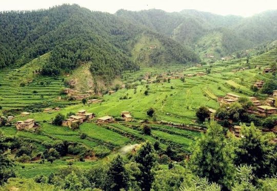 @Khaledafridi My beautiful village, Tirah valley Khyber Agency FATA